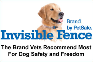 Invisible Fence