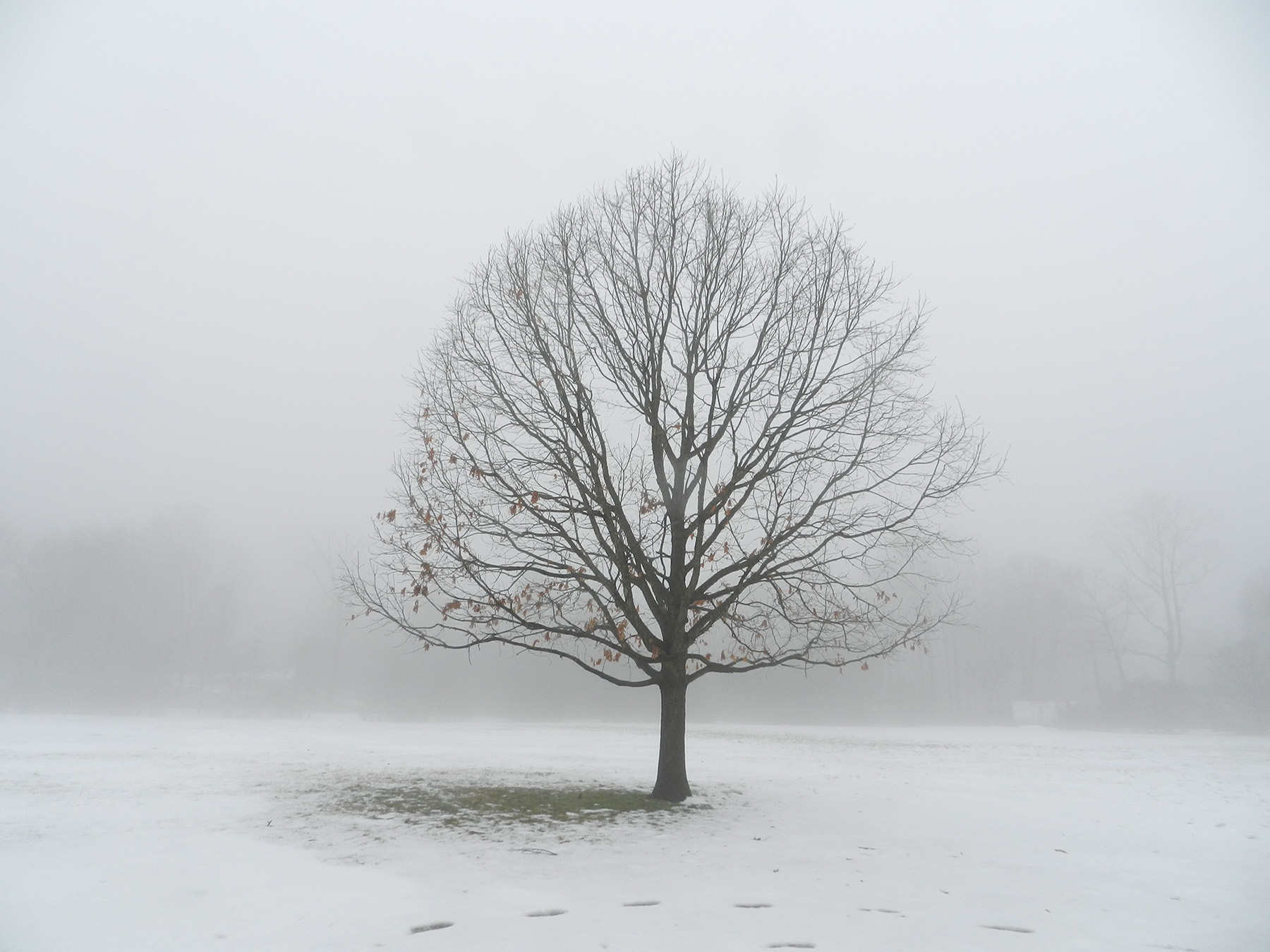 MCCC Gallery Hosts “Mercer County Photography Exhibit 2013”;  Prizes to be Announced at Opening Reception Nov. 20