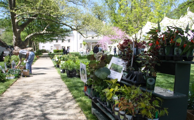 Morven in May: A Celebration of Art, Craft and Garden May 2, 3 & 4, 2014