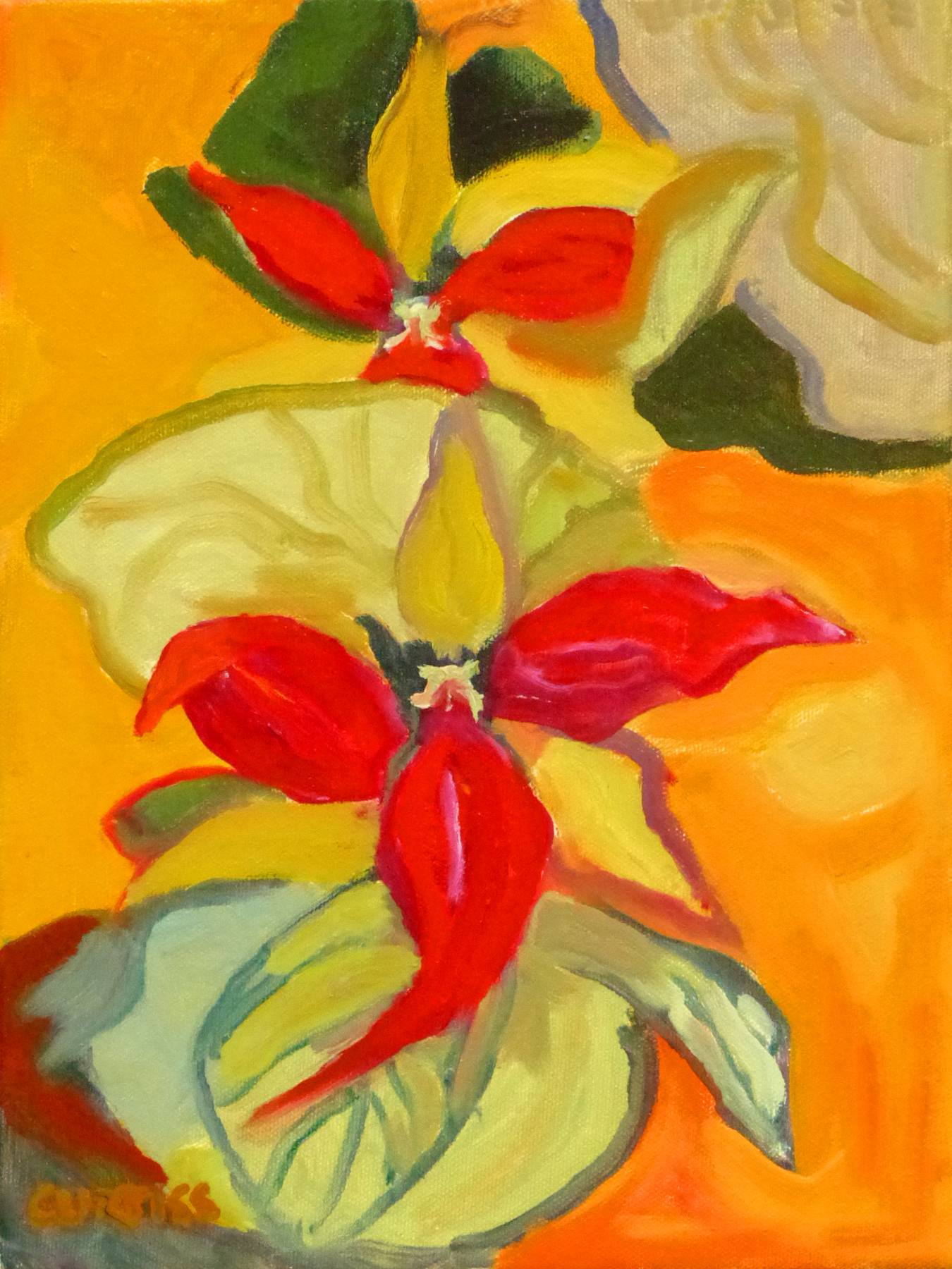 Botanicals Illuminated Art Exhibition at D&R Greenway November 14 -January 9