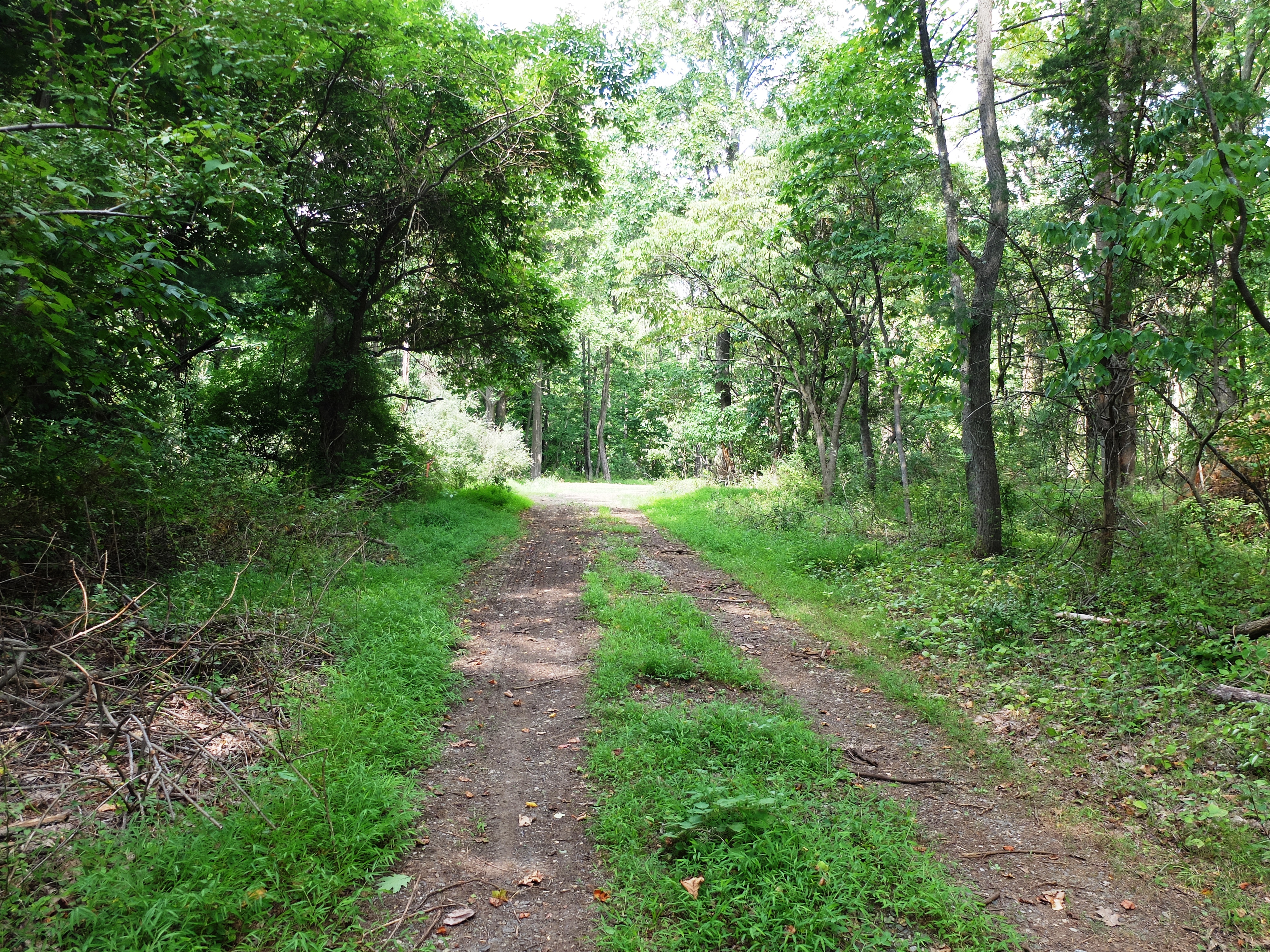 D&R Greenway Land Trust Announces New Preserved Property in East Amwell