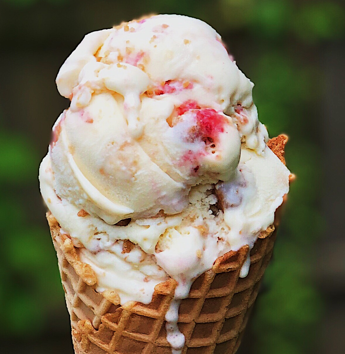 Favorite Princeton Area Ice Cream Spots