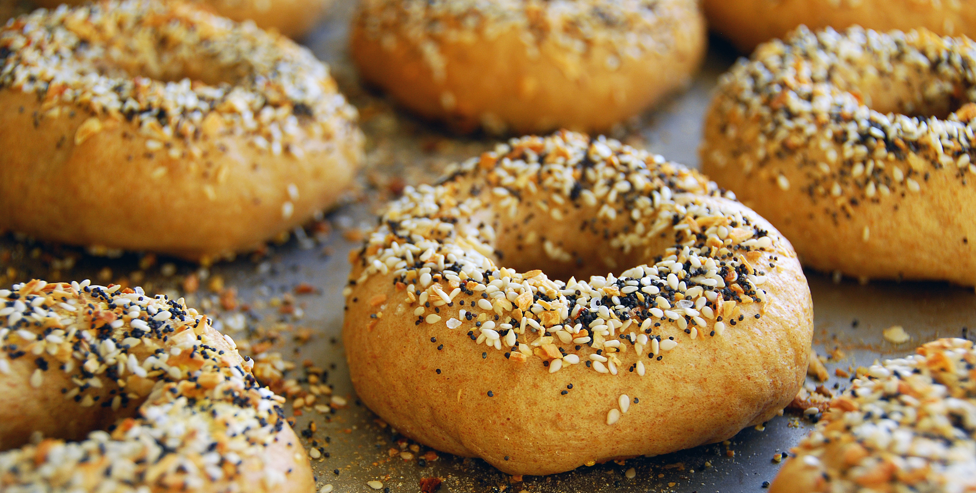 Favorite Princeton-Area Bagel Joints