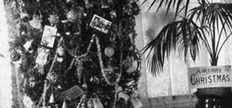 Christmas Tree :: Click to see a larger version