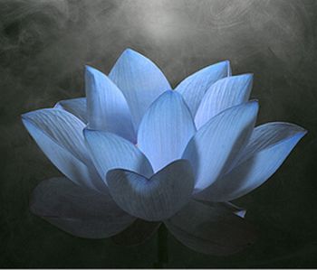 An Important Announcement Regarding RiverStone Kitchen and Bath Design