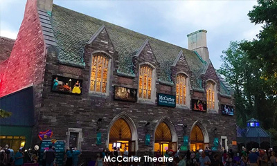 Newsletter footer image