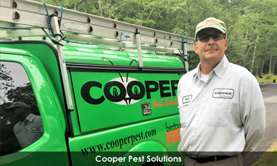 Newsletter footer image
