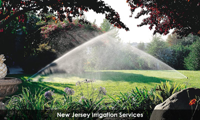 Newsletter footer image