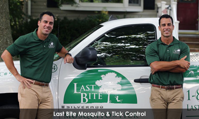 Newsletter footer image