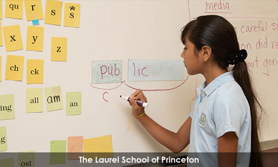 Newsletter footer image