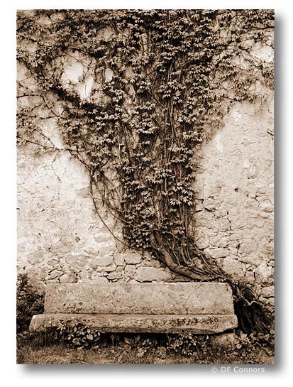 Chateau Reynier - Bench and Wall by DF Connors