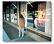 Woman and Dog - New York, by DF Connors