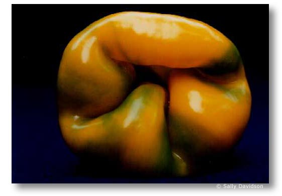Jerseyfresh 3, by Sally Davidson