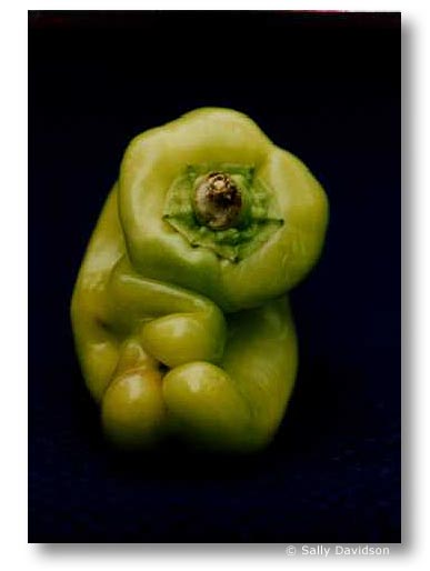 Jerseyfresh 28, by Sally Davidson