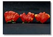 Jerseyfresh 28a, by Sally Davidson