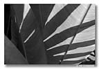 "Barbados #2", by Ed Greenblat