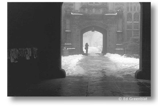 Princeton Fog, by Ed Greenblat
