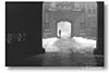Princeton Fog, by Ed Greenblat