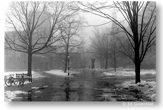 Princeton Fog II, by Ed Greenblat