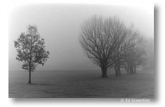 Princeton Fog III, by Ed Greenblat