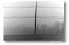 Princeton Fog VI, by Ed Greenblat