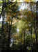 colorshadow.JPG (76858 bytes)