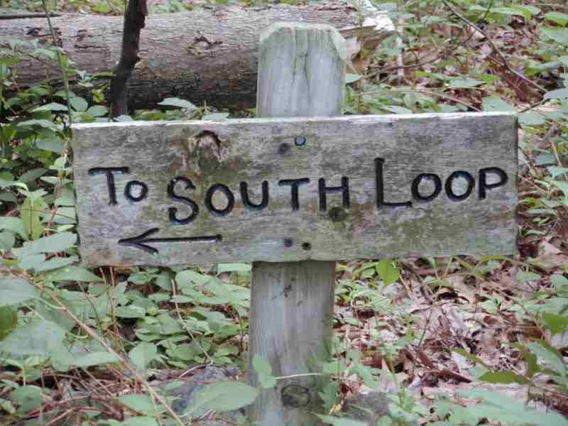 The South Loop trail is well-marked at some intersections.
