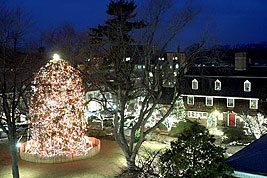 Christmas Tree Lights