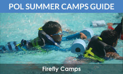 Princeton Online's Summer Camps Guide