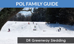 Princeton Online's Family Guide