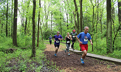 Watershed Trail Run and Festival