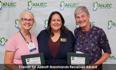 Newsletter footer image