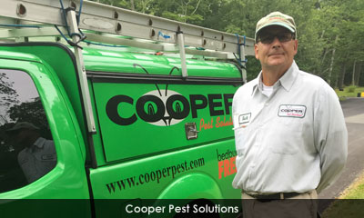 Newsletter footer image