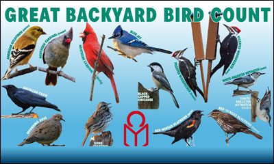 Newsletter footer image