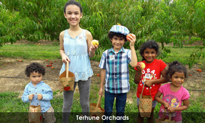 Newsletter footer image