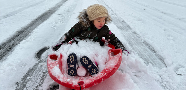 Newsletter Hero Image