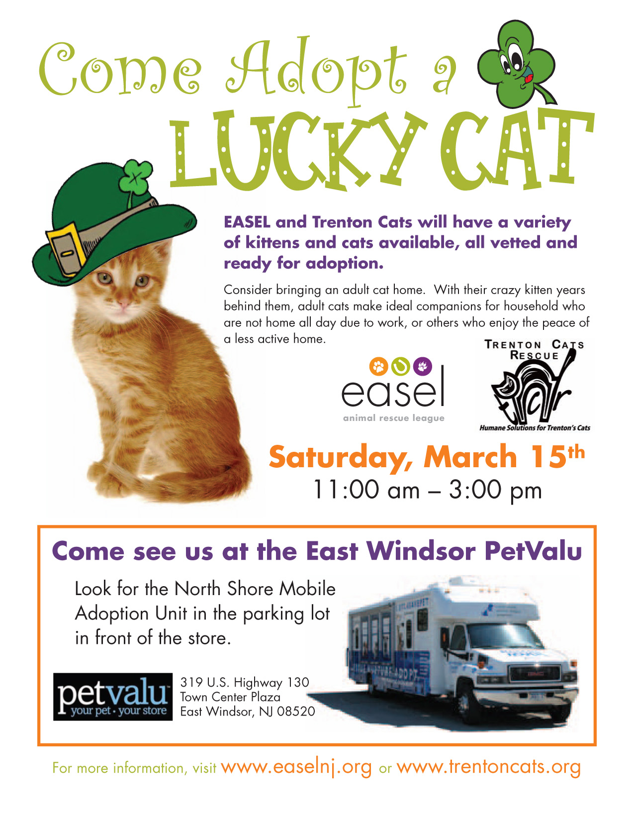 Cat & Kitten Adoption March 15, 2014