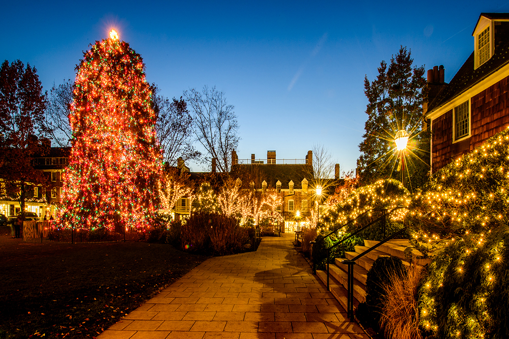 What To Do This December in Princeton