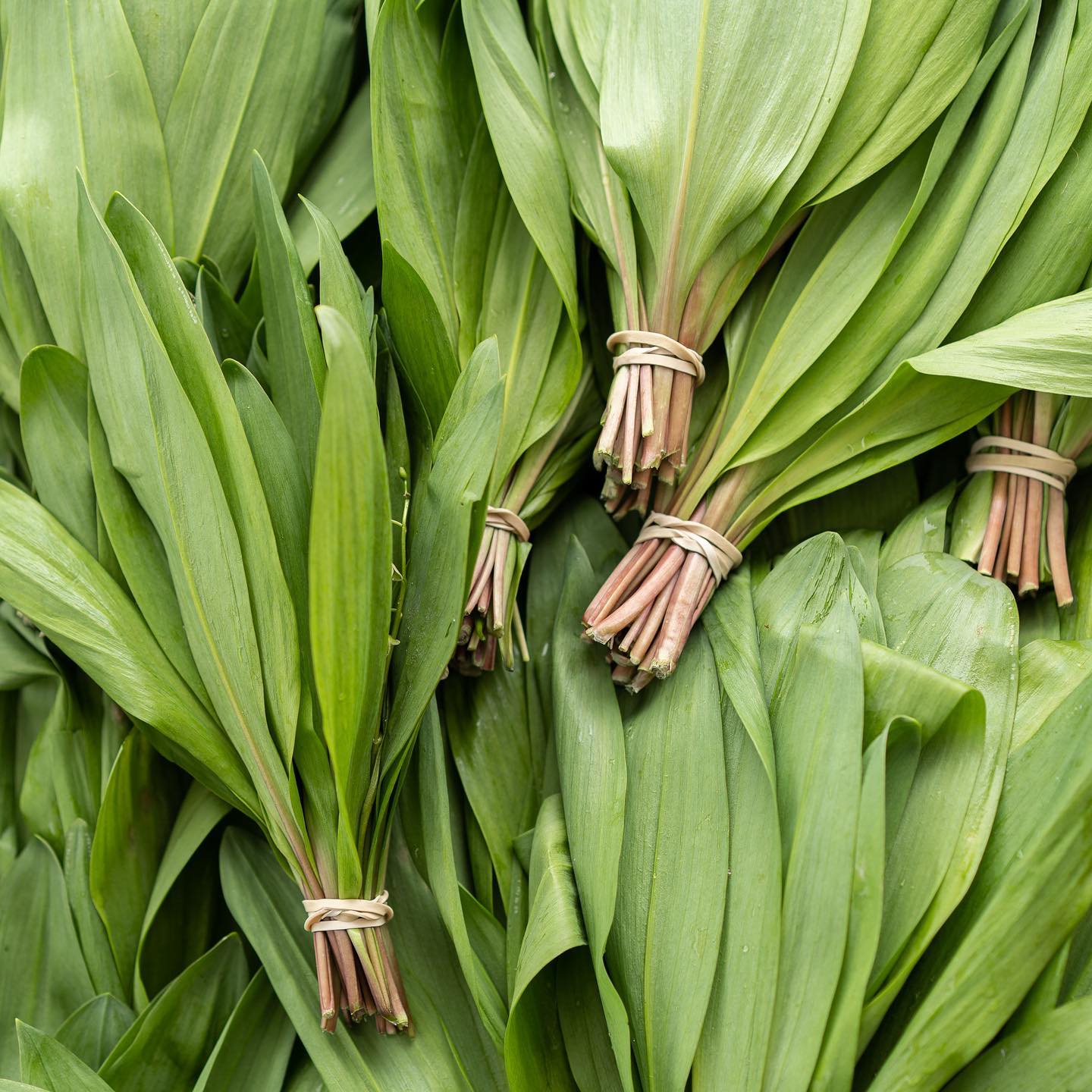 Five Spots For Princeton-Local Fruits and Veggies This Summer