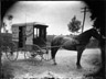 Cart and Horse