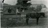 Man in Thompson's Bakery & Ice Cream Parlor Delivery Wagon