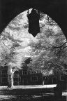 Princeton University Campus