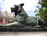 The Princeton Tiger