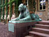 Tiger at Nassau Hall