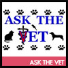 Ask the Vet